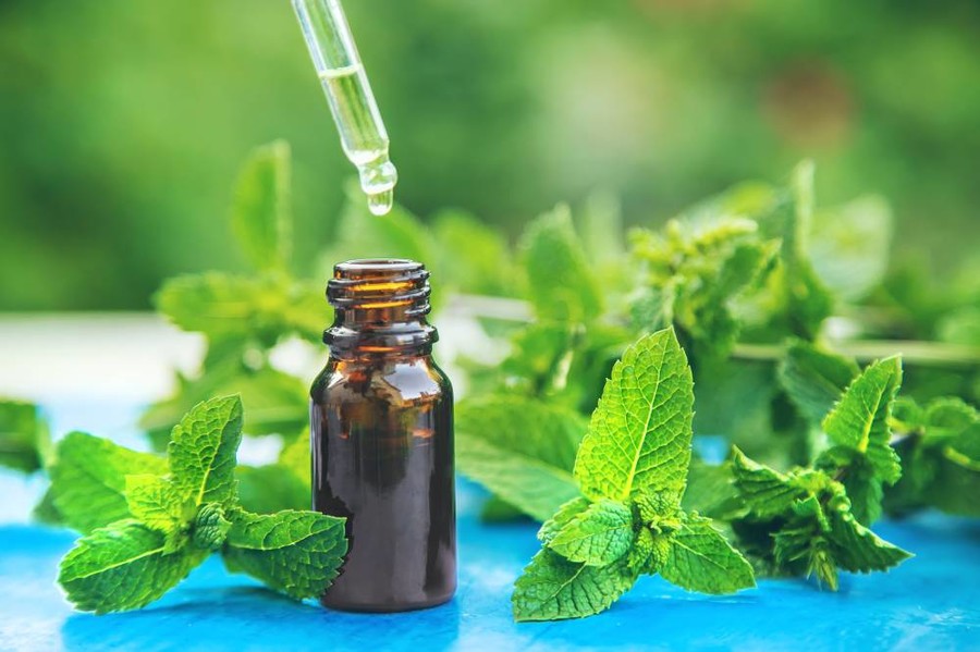 Peppermint essential oil in a small bottle. Selective focus. nature.||فوائد زيت النعناع..زيت الصحة والجمال والحيوية