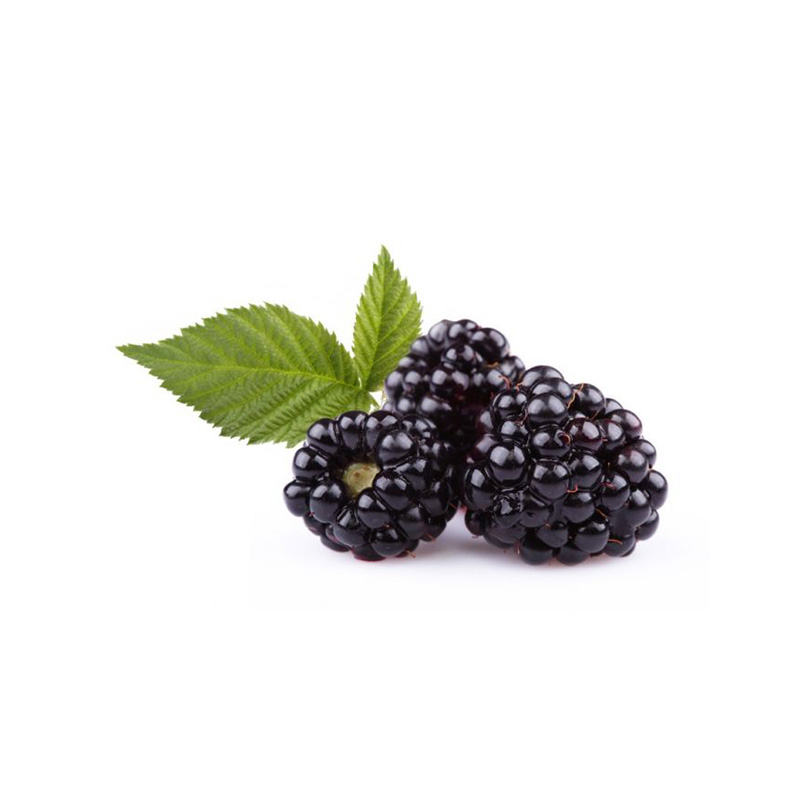 blackberry