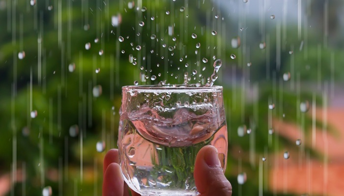 11-4||1661080669806615100||can_you_drink_rainwater||فوائد_شرب_ماء_المطر
