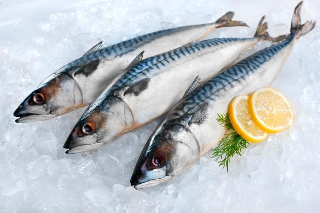 mackerel-fish-on-ice