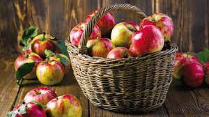 التفاح.. الفاكهة الرمزية لنيويورك||التفاح.. الفاكهة الرمزية لنيويورك||التفاح.. الفاكهة الرمزية لنيويورك||التفاح.. الفاكهة الرمزية لنيويورك||التفاح.. الفاكهة الرمزية لنيويورك||التفاح.. الفاكهة الرمزية لنيويورك||