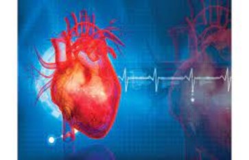 نبض الحياة: استراتيجيات بسيطة للحفاظ على قلب صحي وقوي