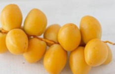 البلح الأصفر