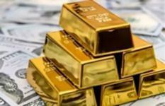 الذهب يواصل الانخفاض في مصر الذهب يواصل الانخفاض في مصر