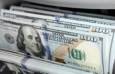 الدولار الدولار