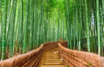 أماكن طبيعية ساحرة 