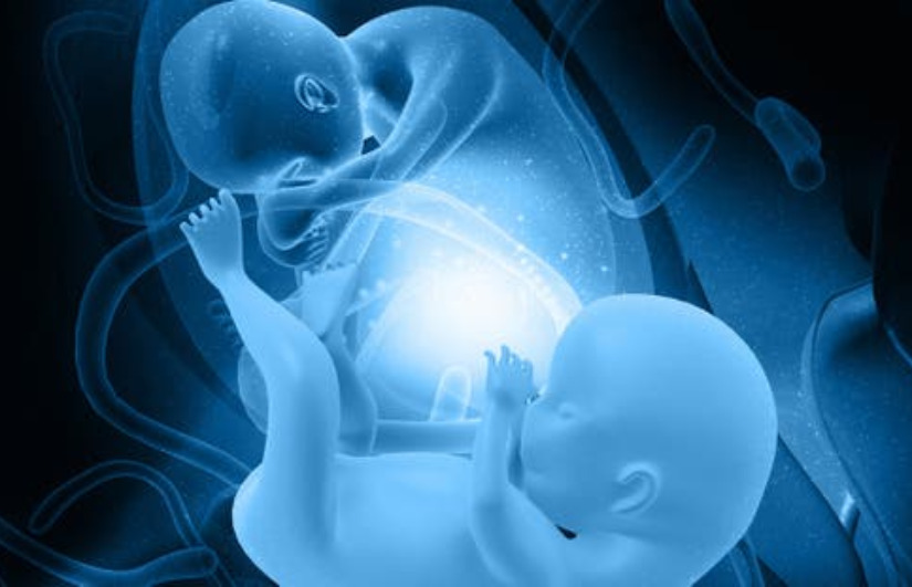 سيدة تحمل في تسع أجنة